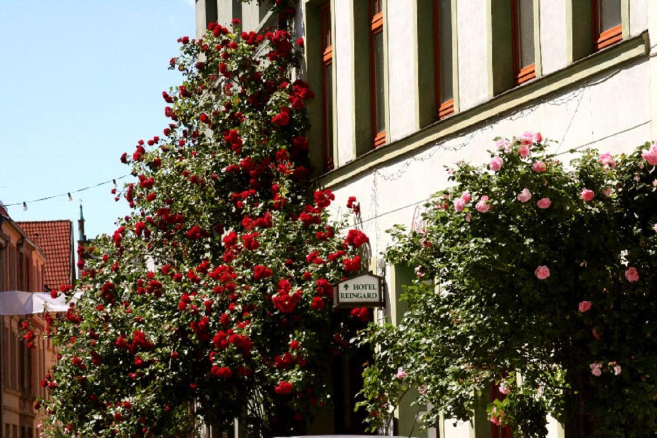 Hotel Reingard Wißmar Zewnętrze zdjęcie